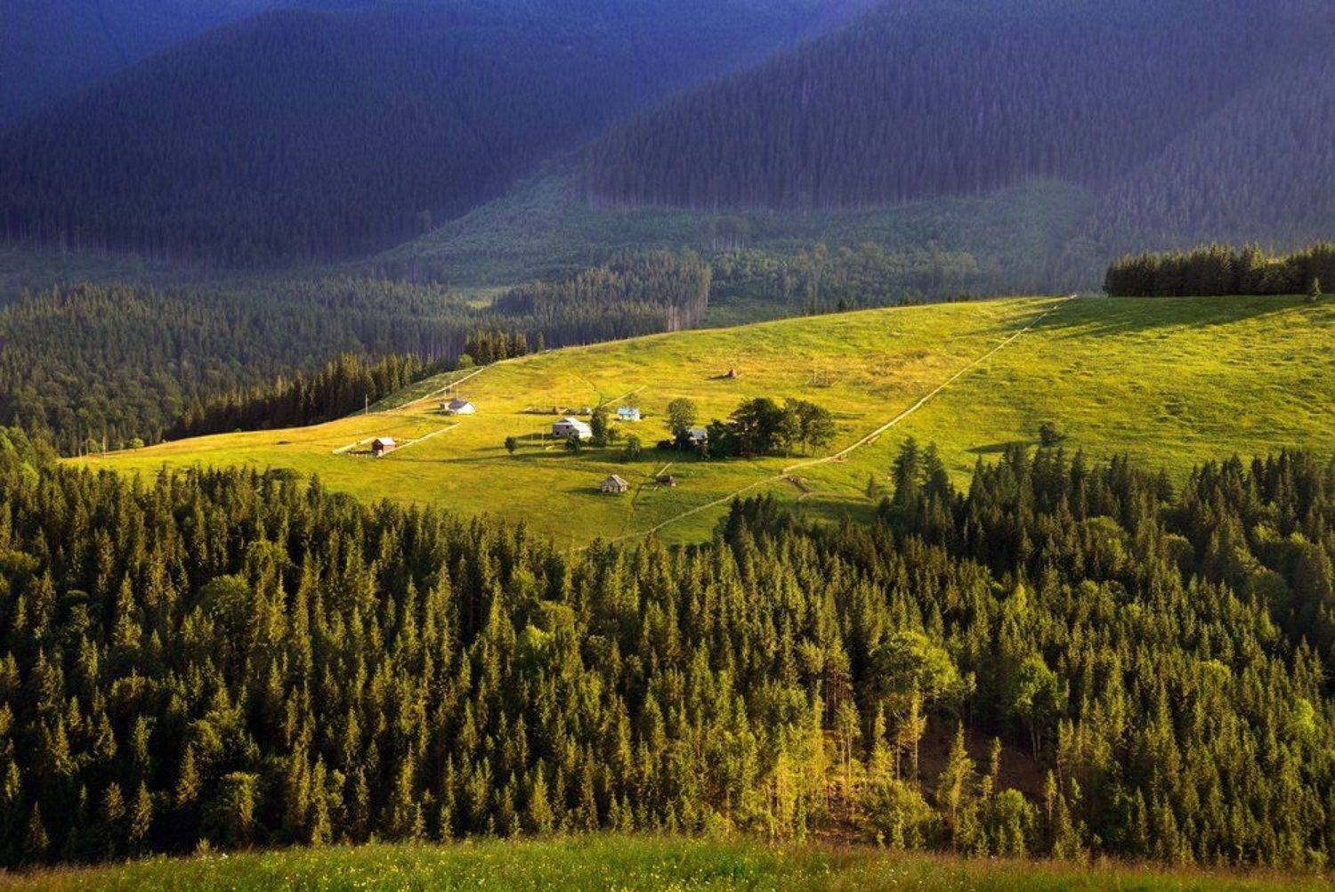 , Эдуард Гордеев