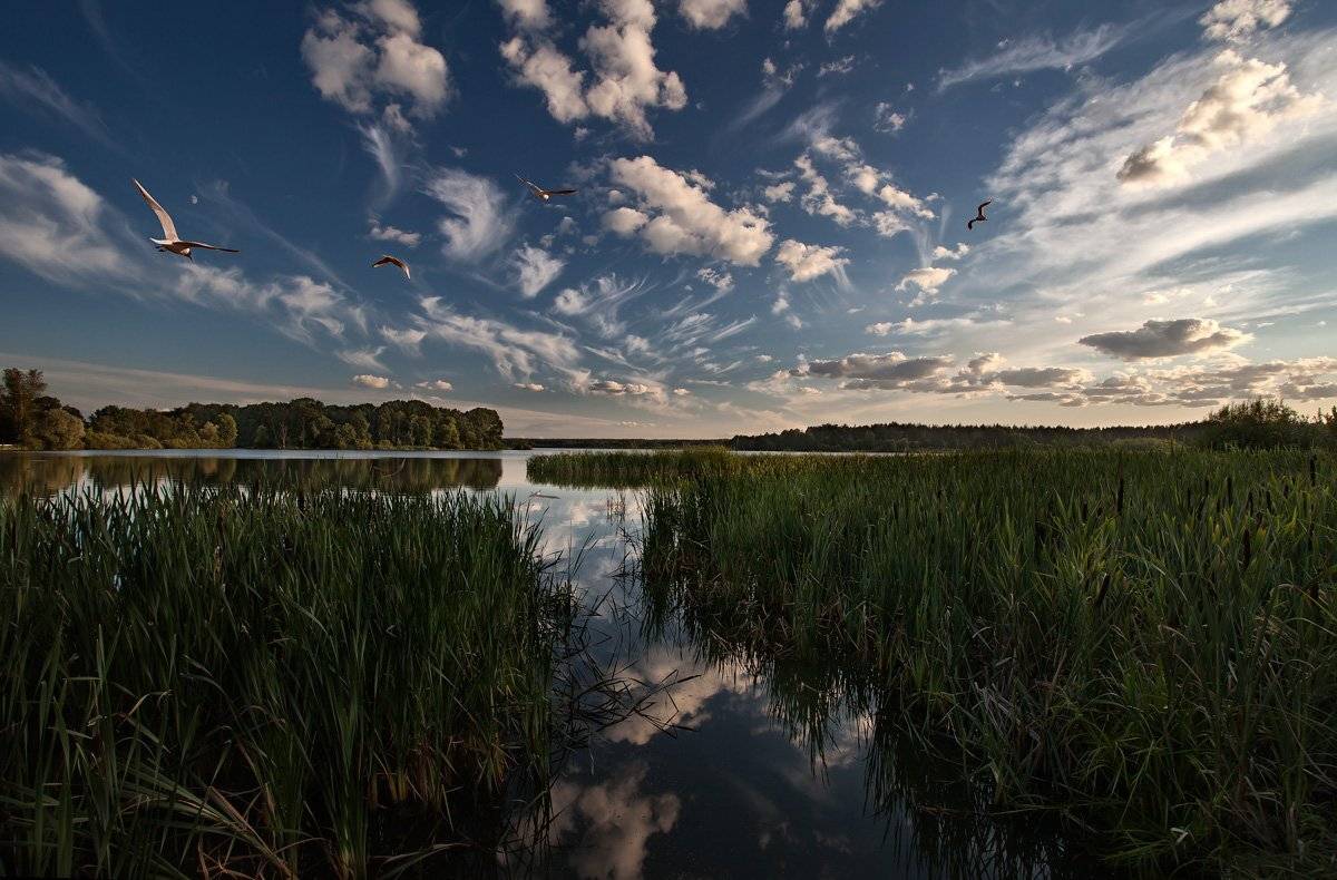 бисерово., подмосковье, Андрей Леонидович