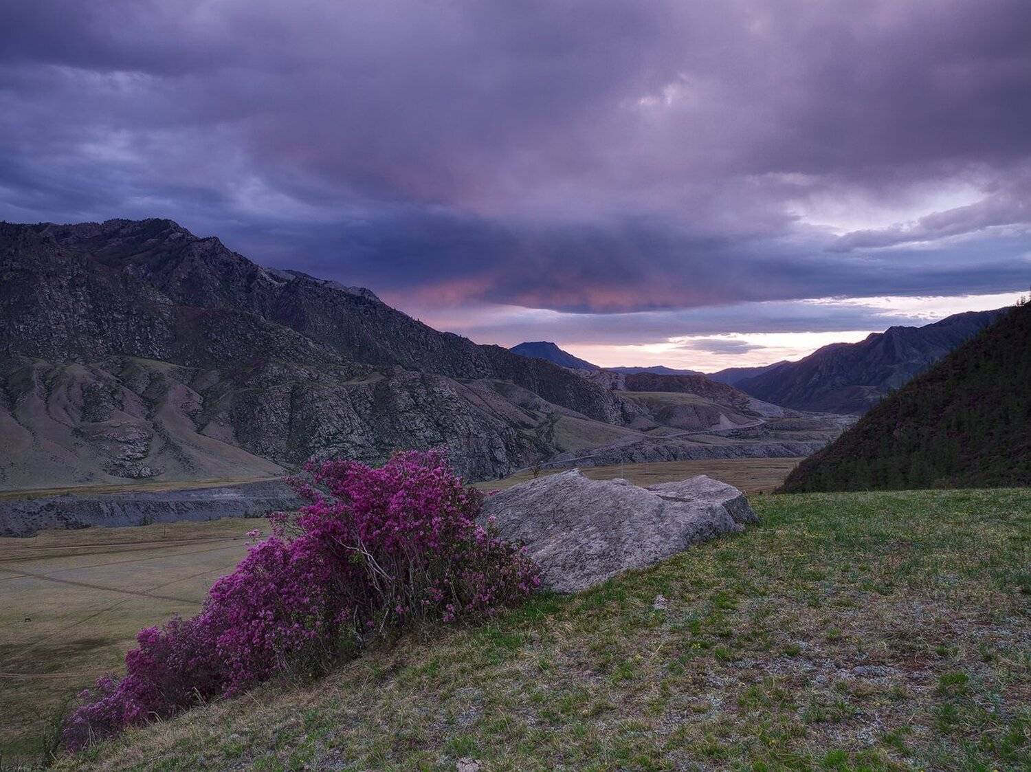 , Лещёнок Александр