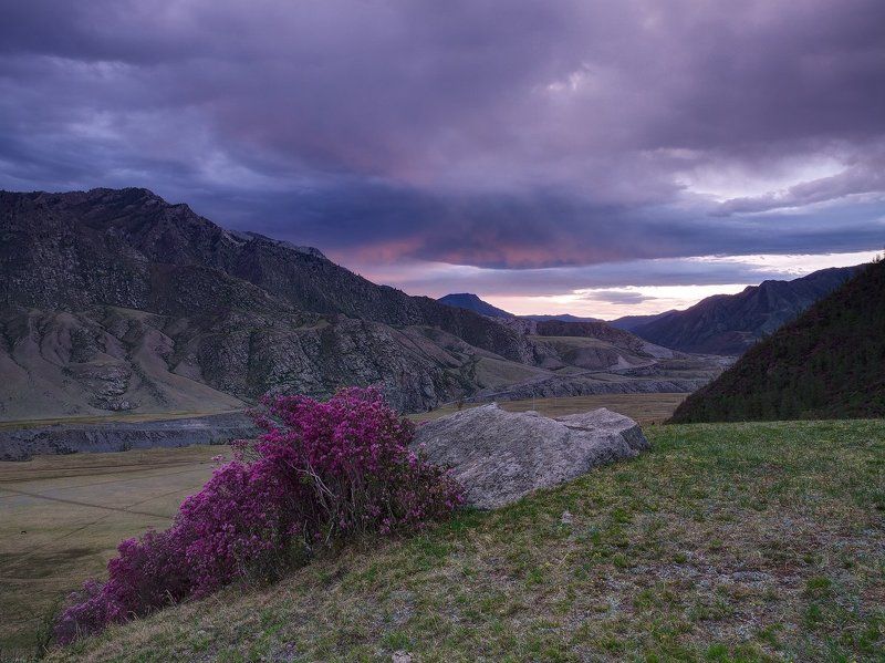 ...На восходе... фото превью