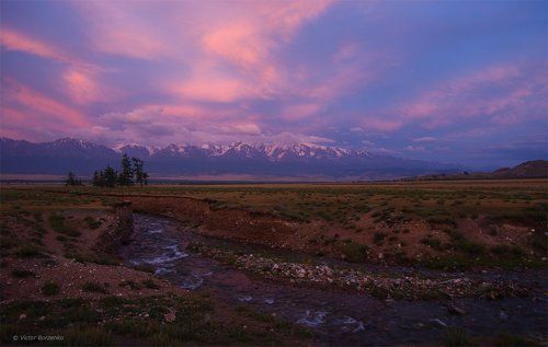 Курайское утро