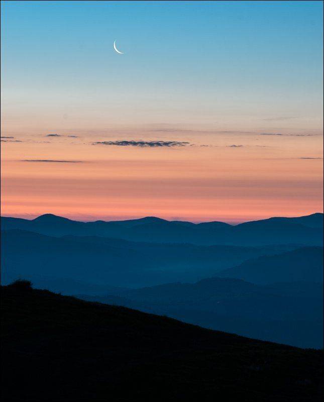 , Полищук И.В.