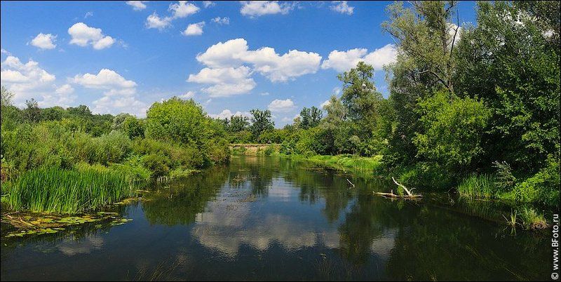 Истоки реки Воронеж фото превью
