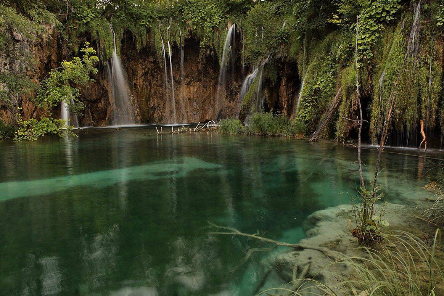 , Игорь Дубровский