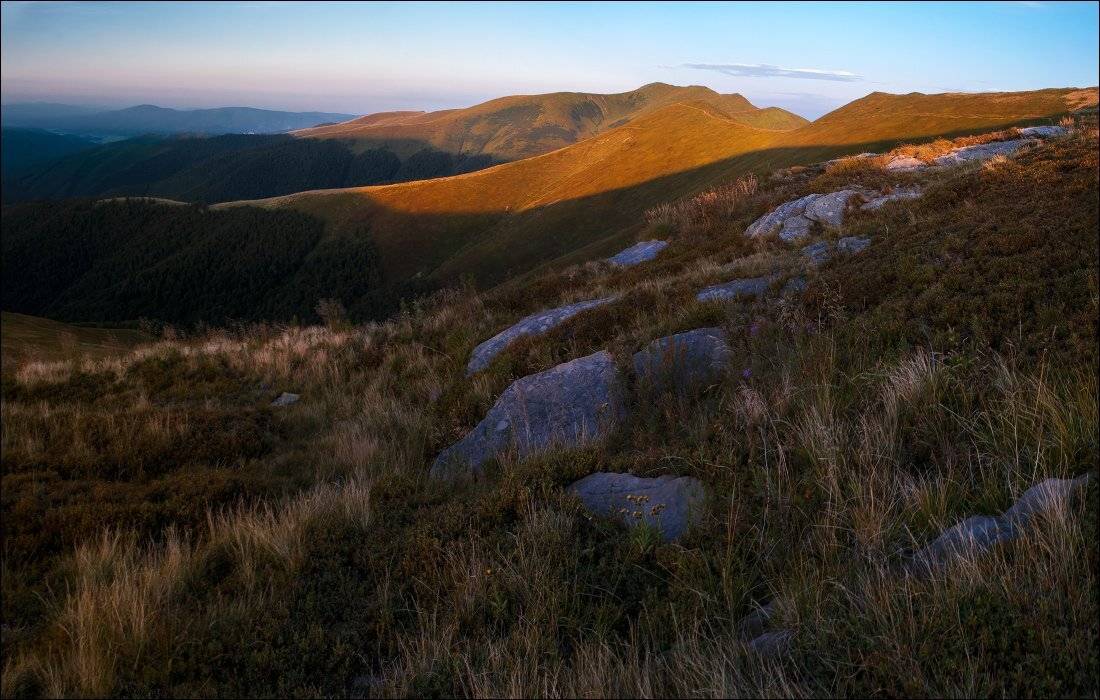 , Полищук И.В.