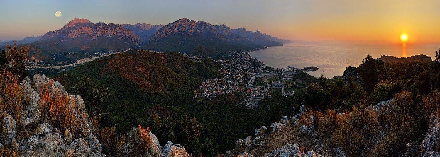 , Олег Пожарков