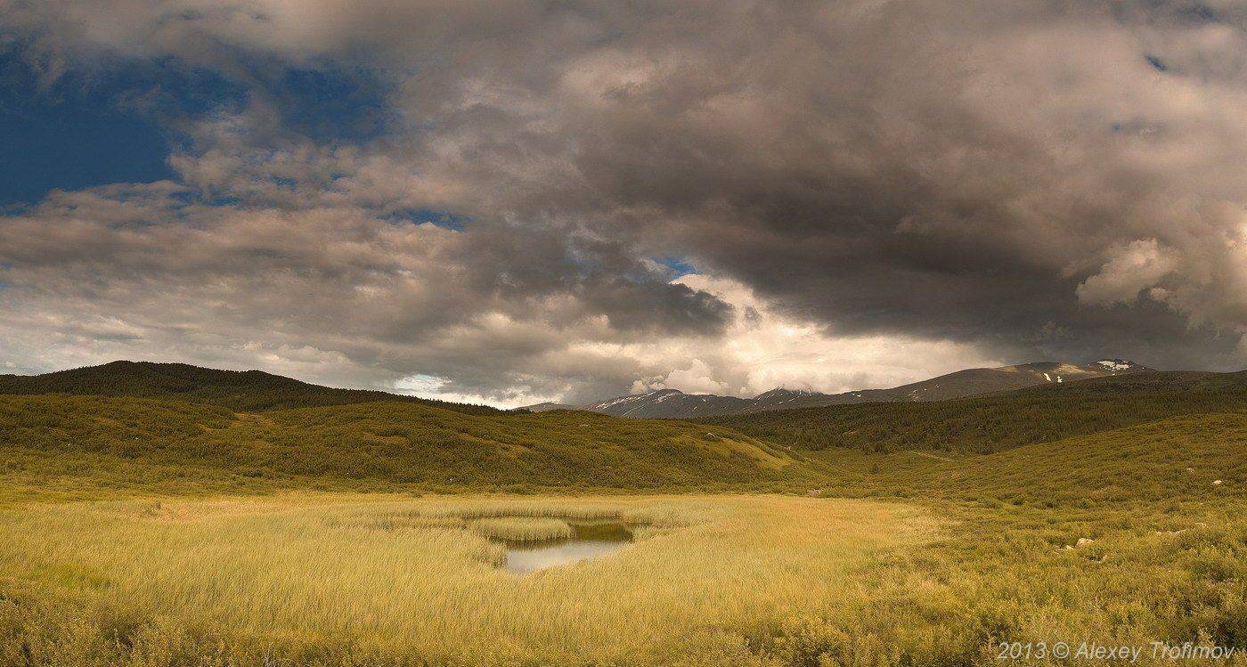 , Алексей Трофимов