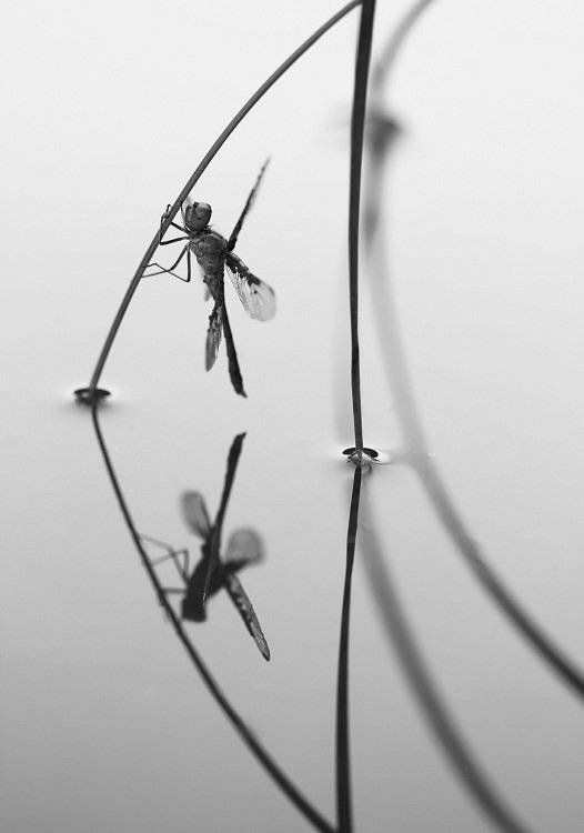 , Александр