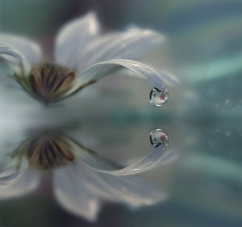...two worlds...