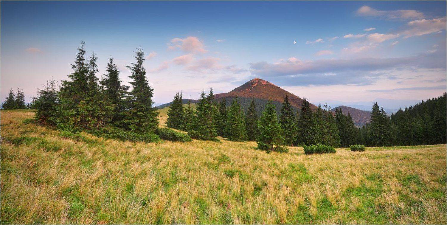 , Денис Кривой