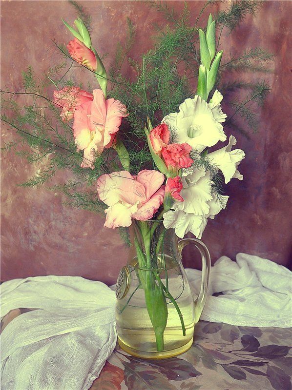 Гладиолосы фото превью