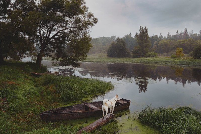 ***** фото превью