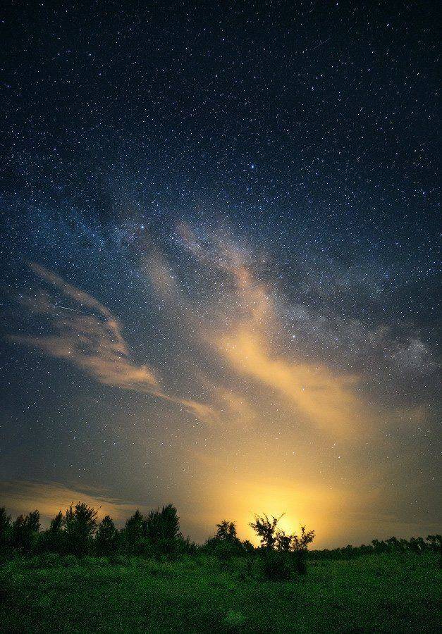 , Вейзе Максим