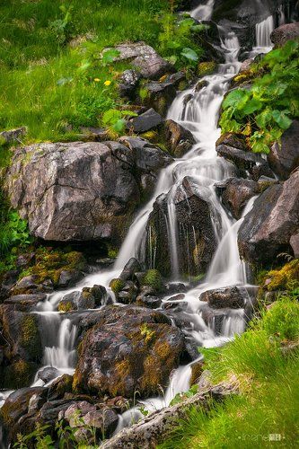 Горные ручьи