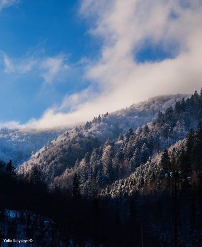 Мороз фото превью