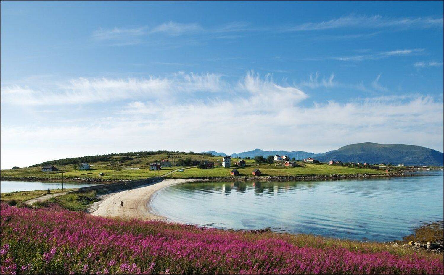 , Крицак Ольга