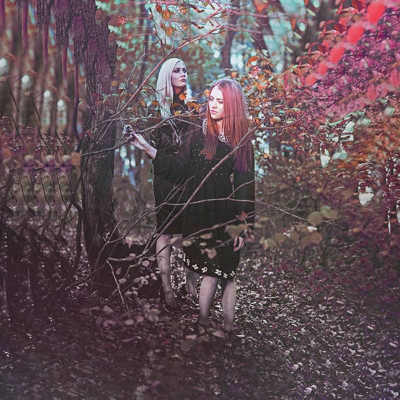 Tame Impala фото превью