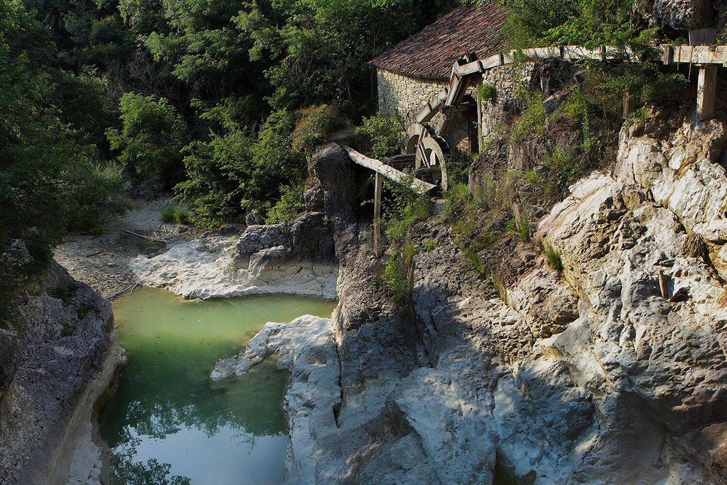 , Игорь Дубровский