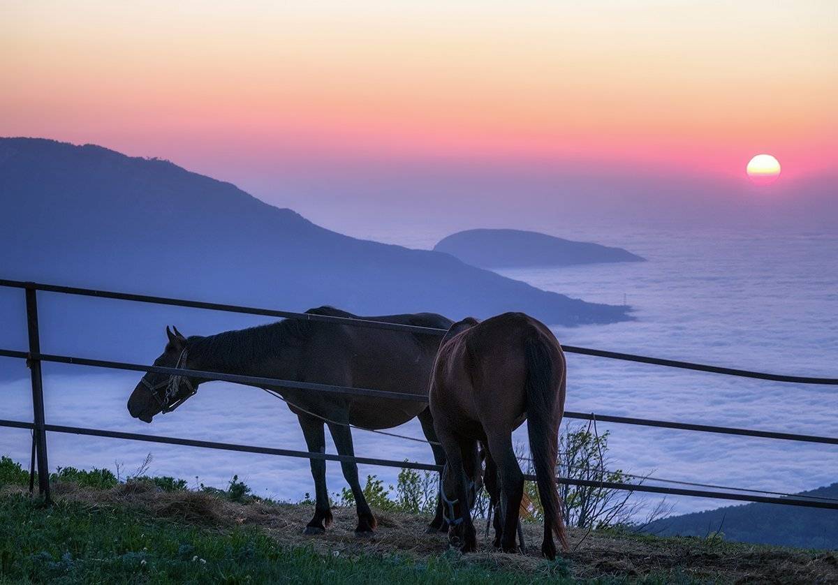 , Игорь Мелекесцев