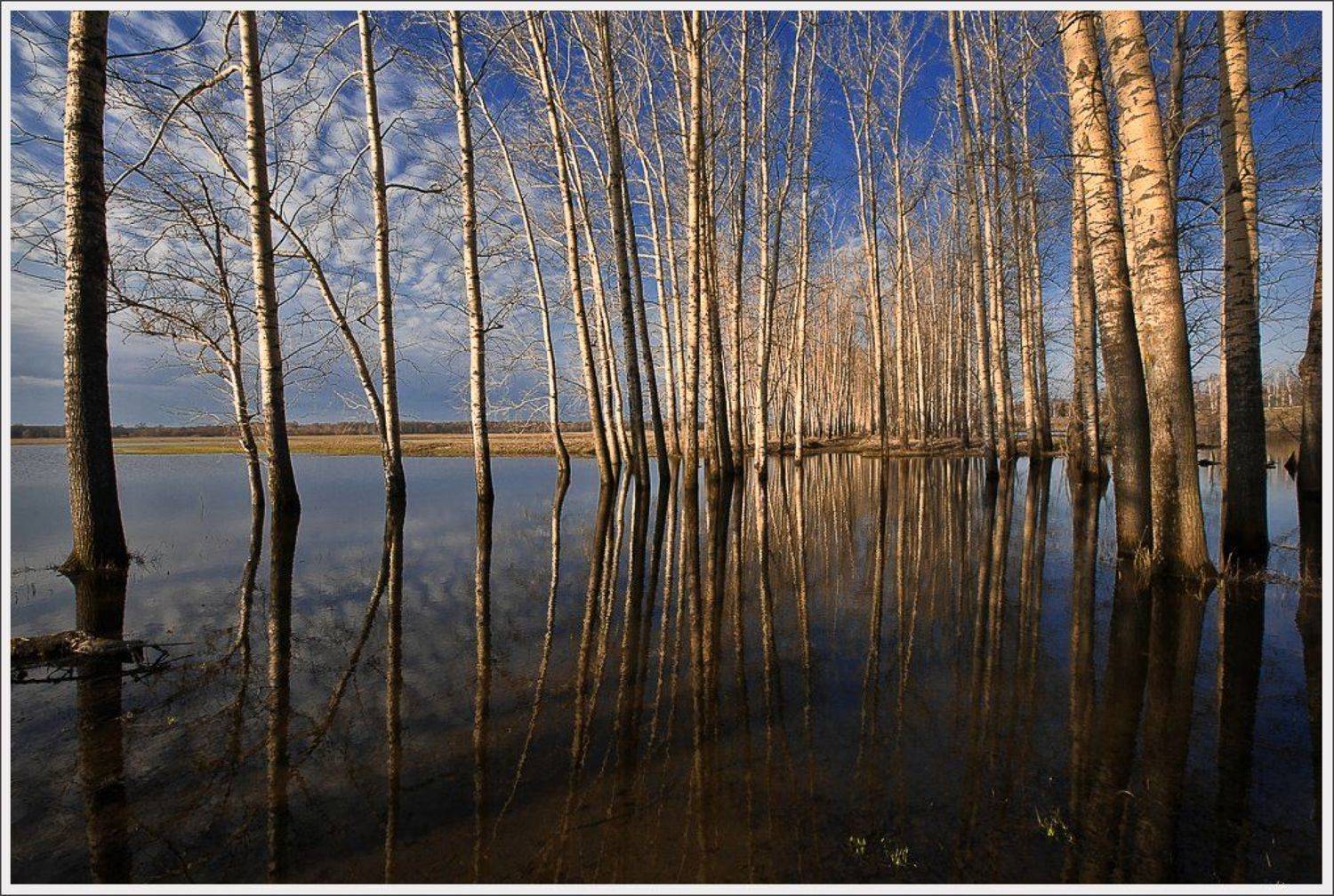 , Сергей Захаров.