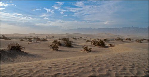 [death valley dune]