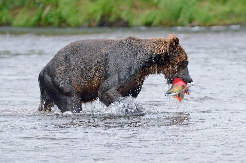 С рыбалки фото превью