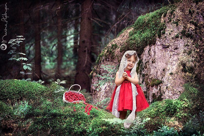 Девочка, Красное платье, Лес, Малина, Мхи, Сказка, Ягоды \