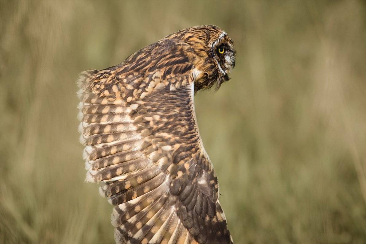 , Вилюнов Дмитрий