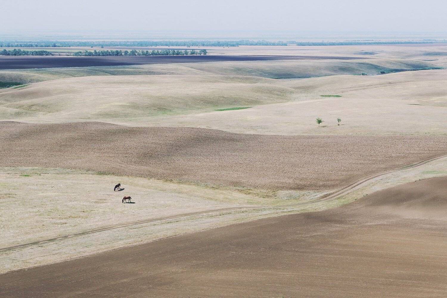 , Сидоренко Алексей