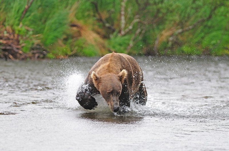 На рыбалке фото превью