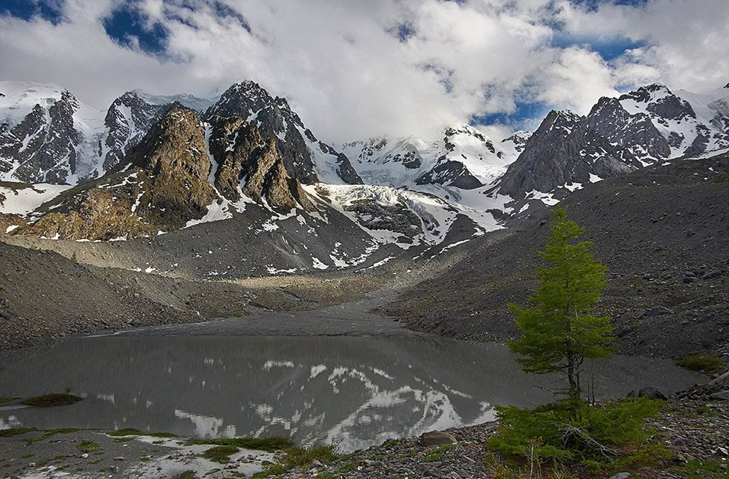 , Юра Тараник