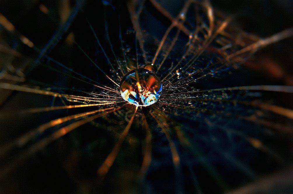 wake, macro,sony,drop,water, Эмеральд Ваке &copy;