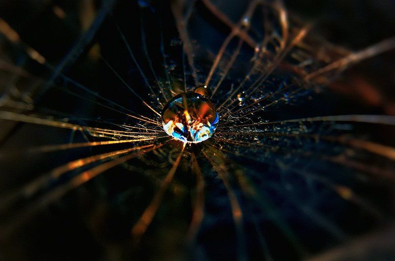 wake, macro,sony,drop,water Nature Sphere фото превью