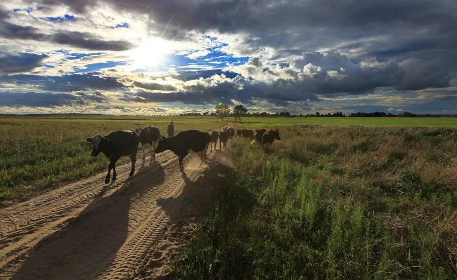 , Валерий Кондратов