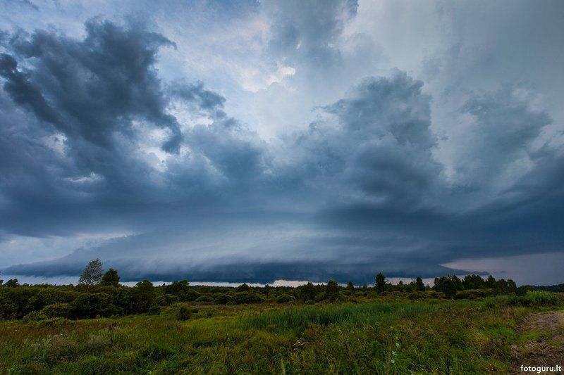 *** фото превью