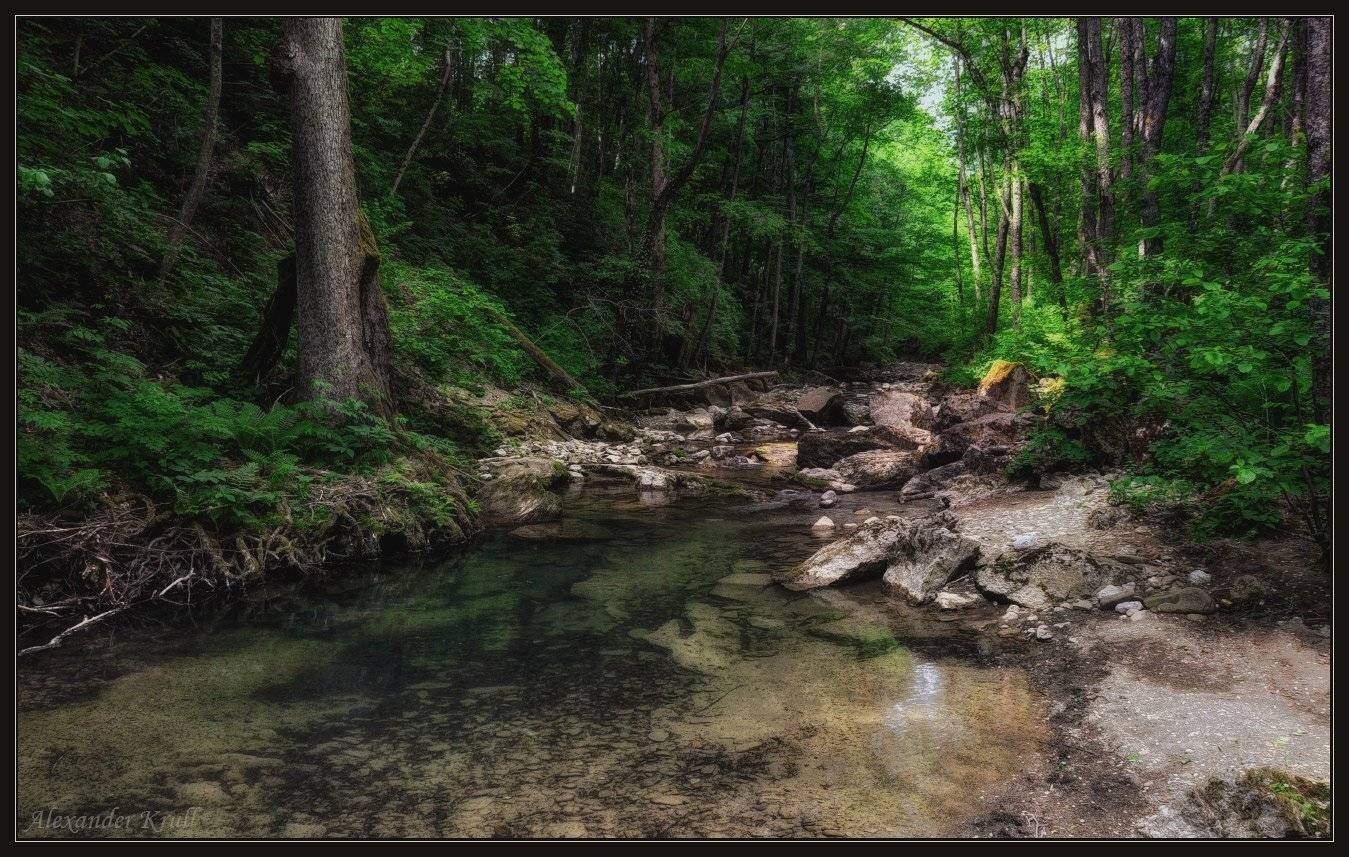 ручей, лес, Александр Круль