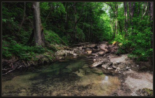 В дебрях Кубанских предгорий...