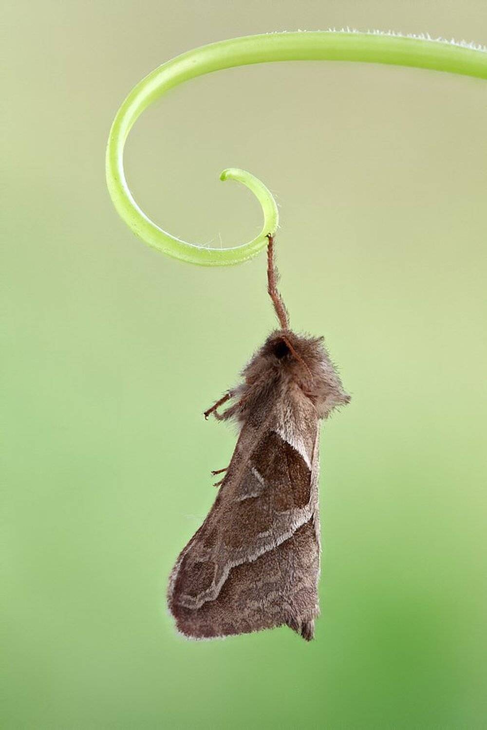 , Сергей Таланов