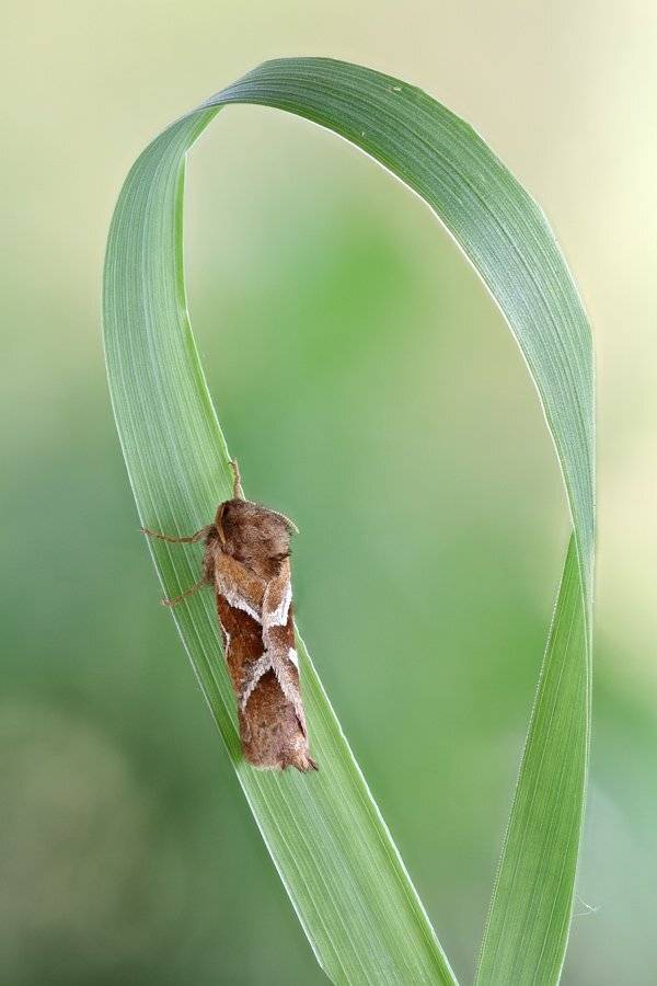 , Сергей Таланов