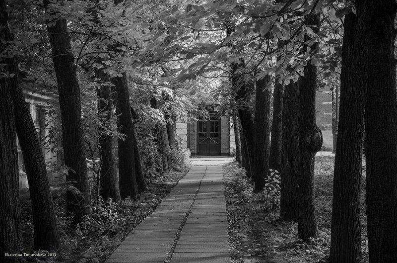 Черно - белые прогулки по Кронштадту фото превью