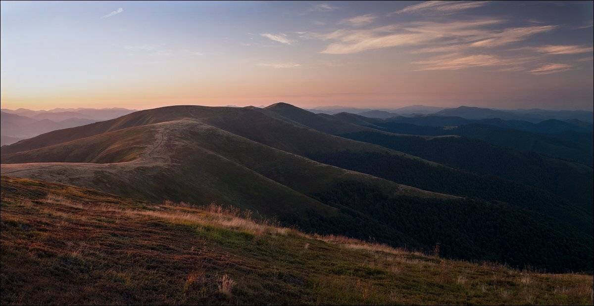 , Полищук И.В.