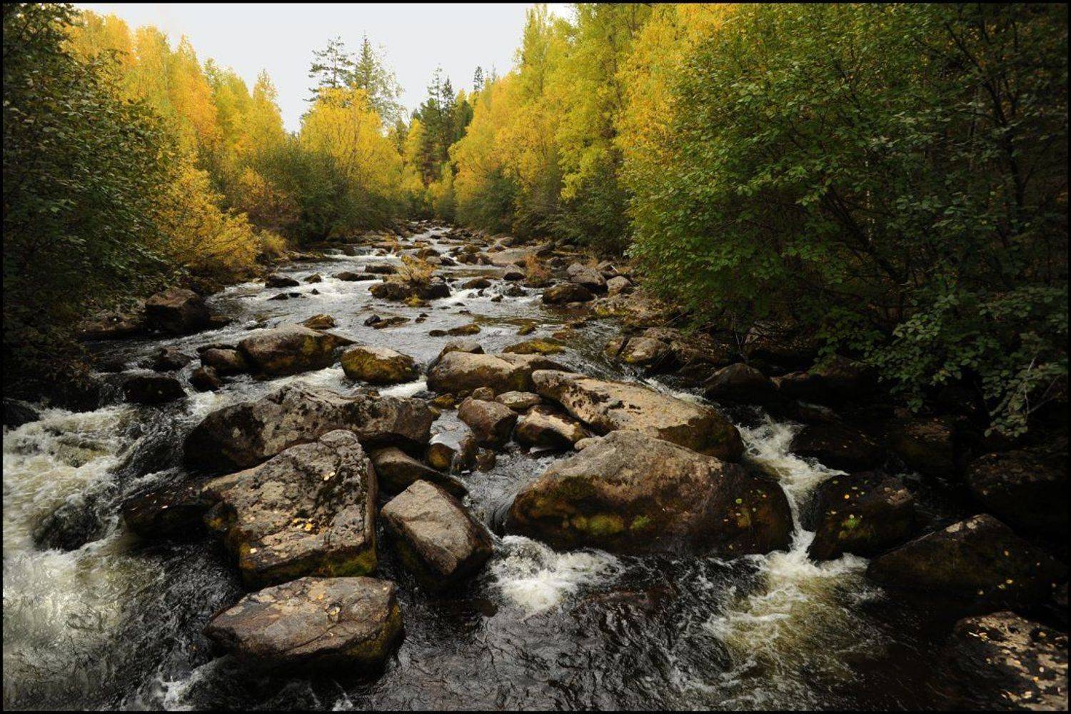 , Владислав Д.