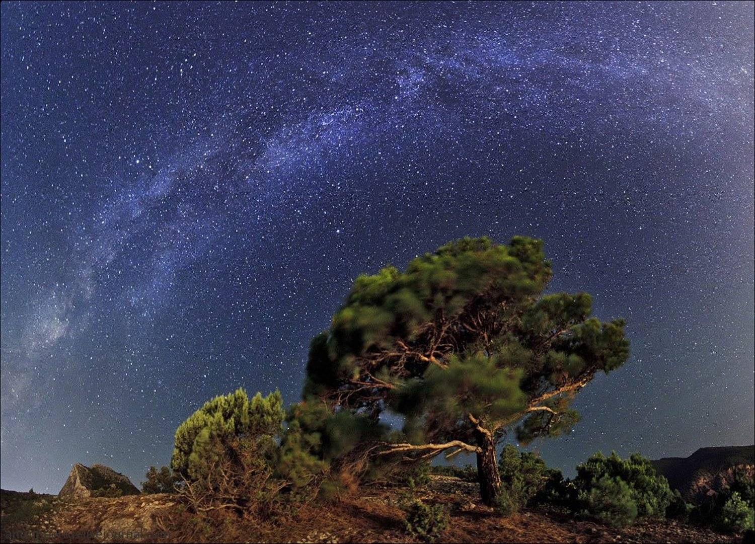 , Антон Петрусь