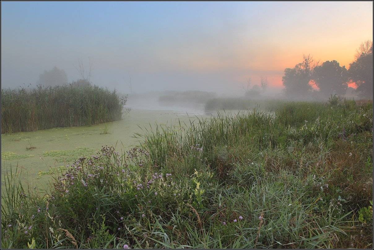 , Михаил (mgk)