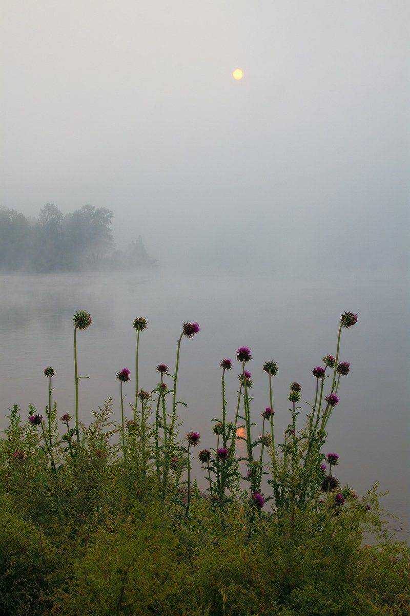 , Николай Морский