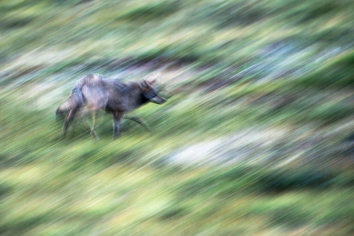 , Иван Кислов