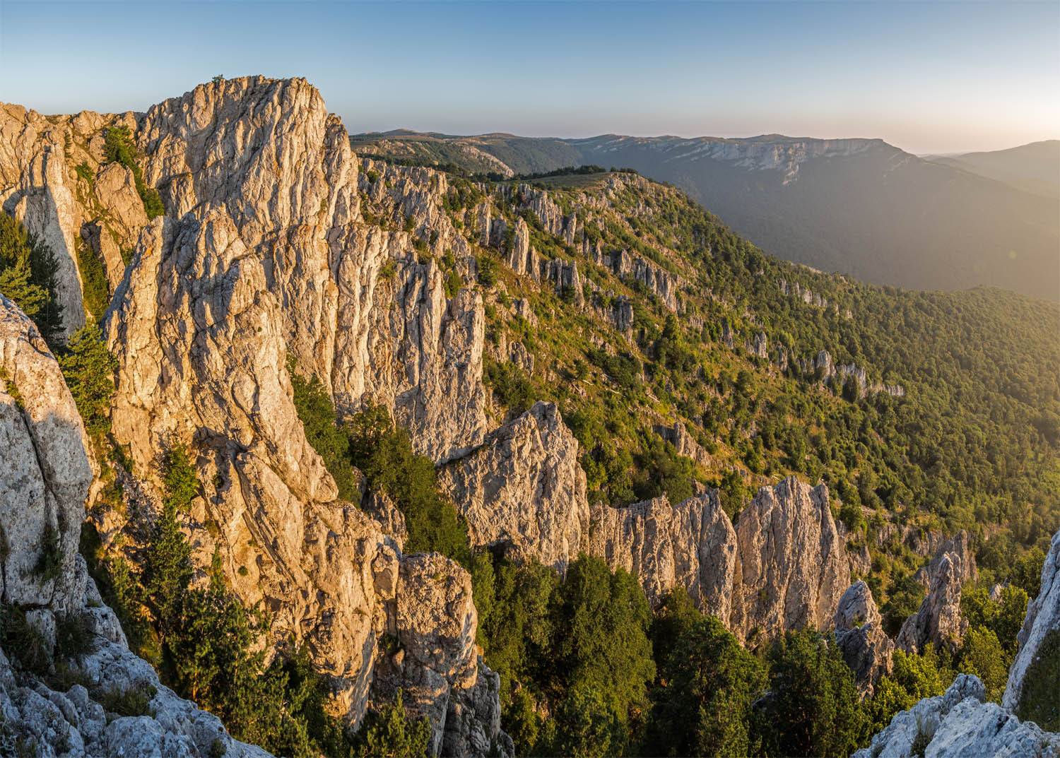 , Станислав Савицкий