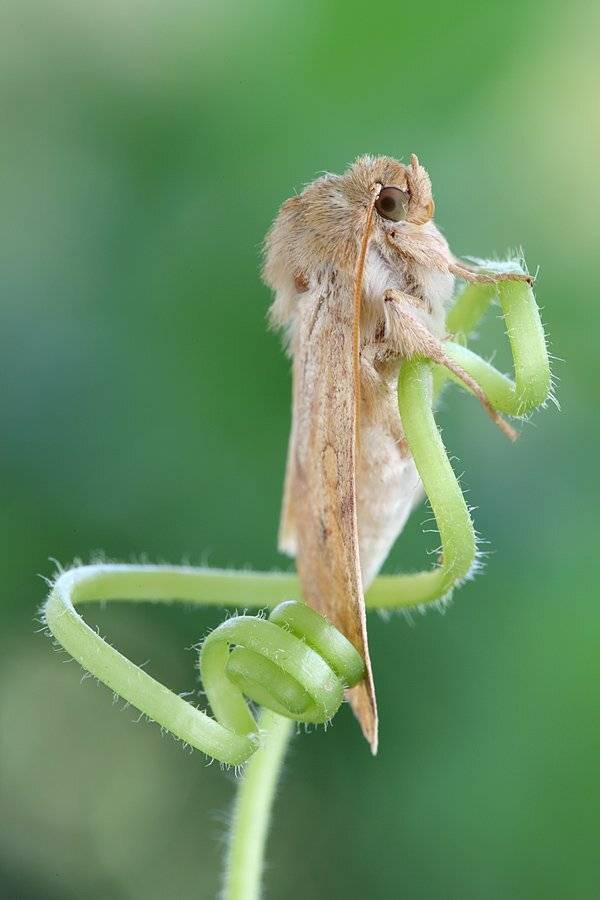 , Сергей Таланов