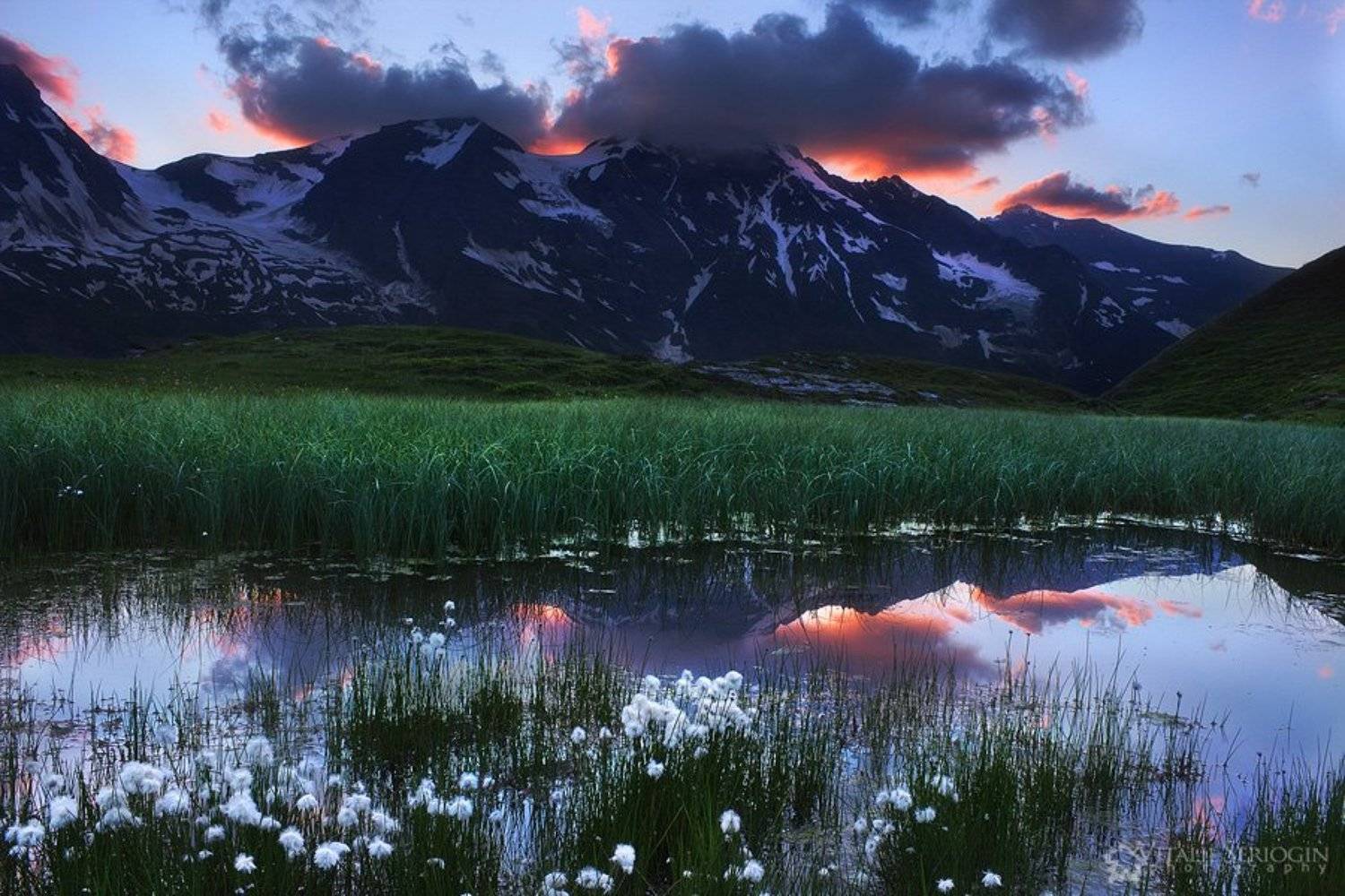 , Vitalijus Serioginas