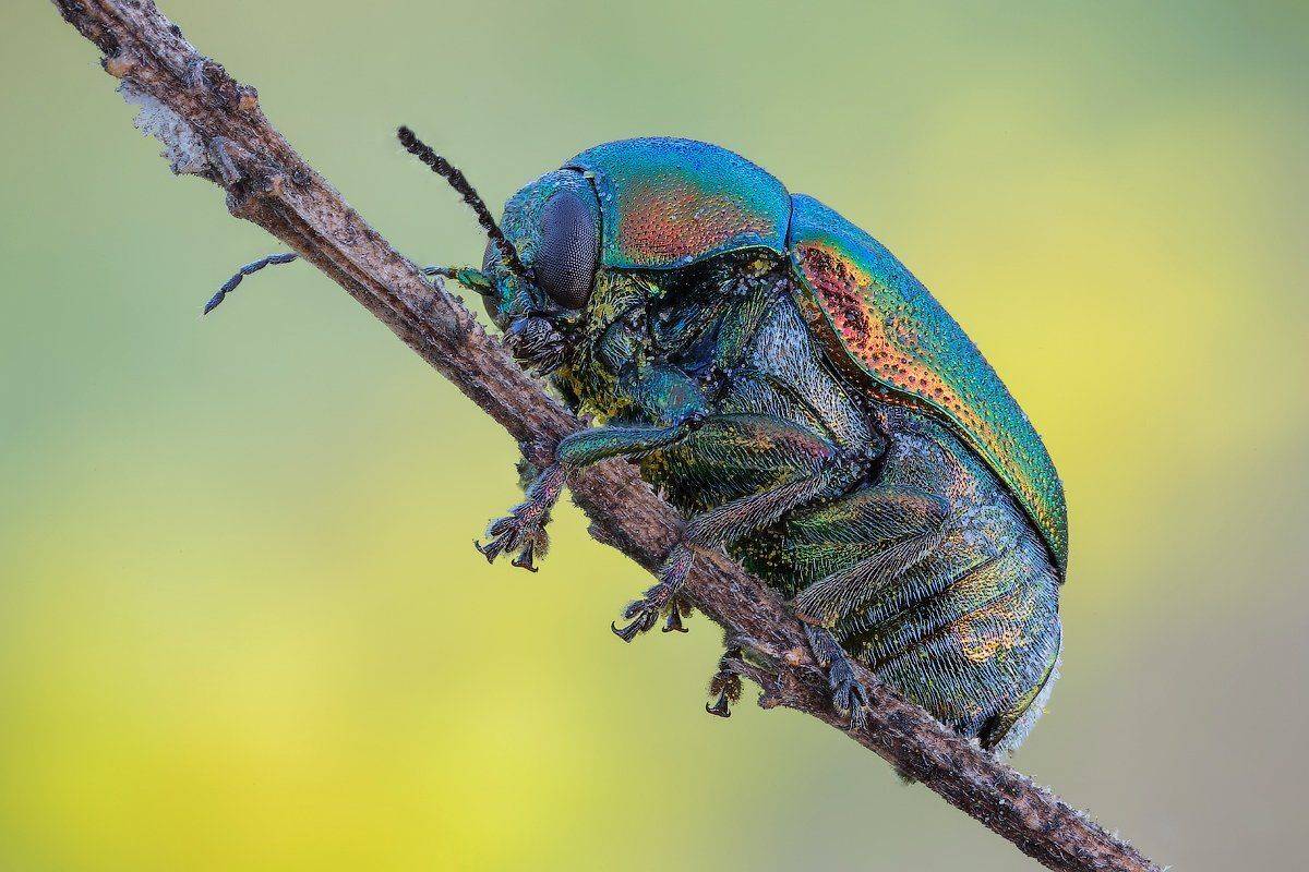 , Вадим Ходаковский